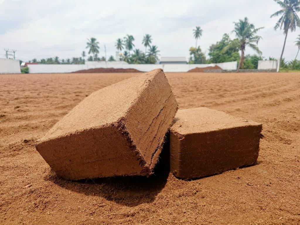Coconut Derivatives